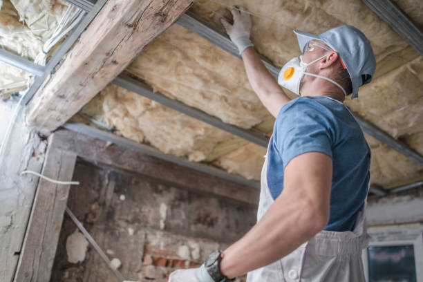 Best Insulation Installation Services in Ogden, KS